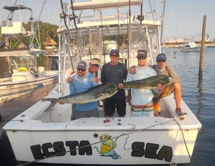 Explorando los Tesoros del Mar