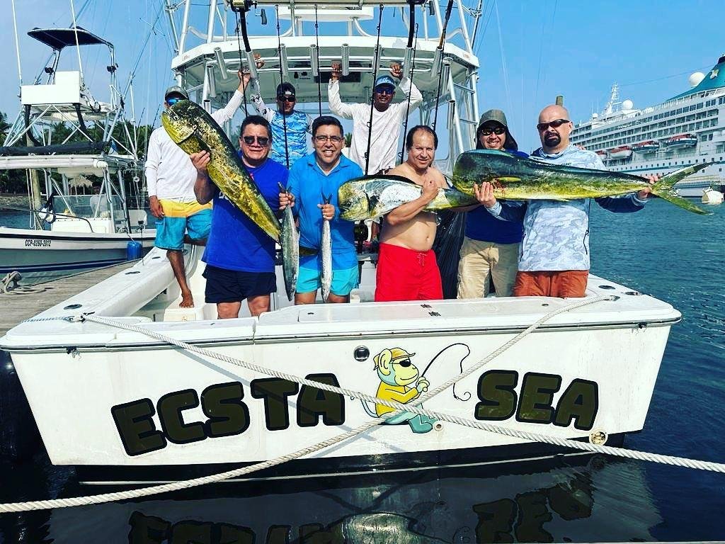 Información del bote